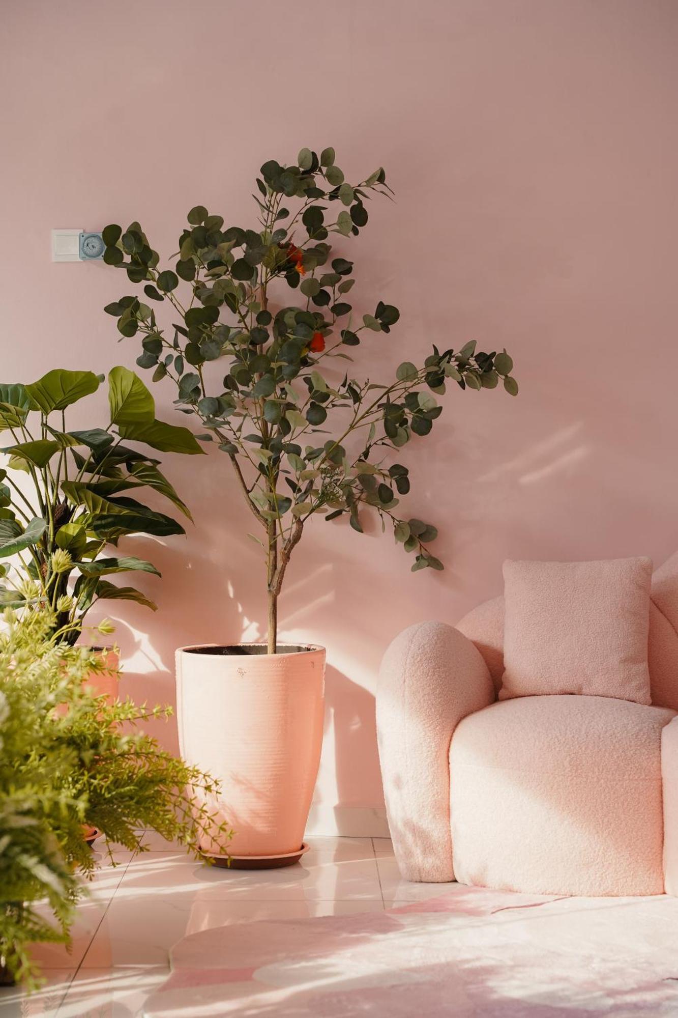 ג'ורג' טאון Pink Cabana Hotel מראה חיצוני תמונה